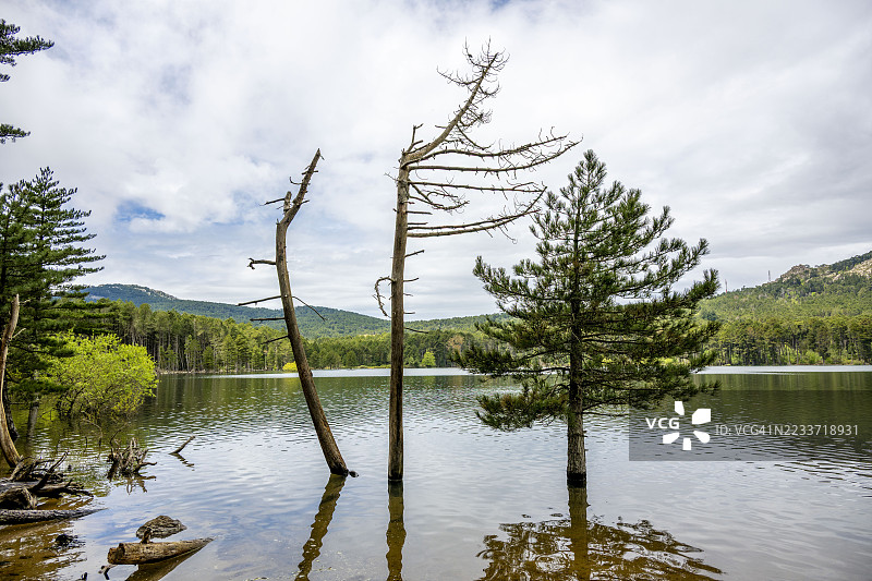 宁静的湖泊被森林和山脉环绕图片素材