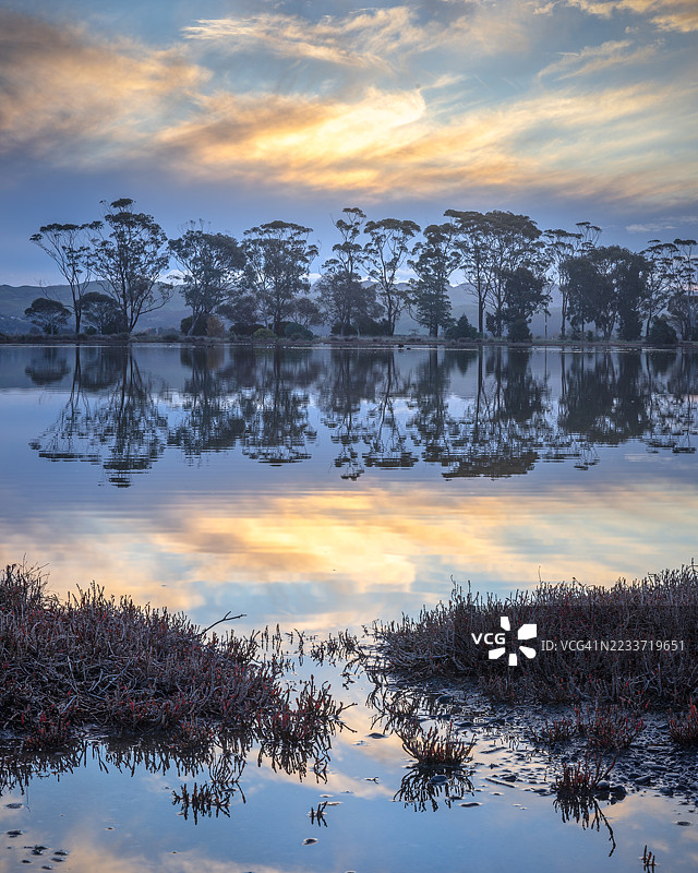 宁静的湖泊在日落时分映照着树木和天空，纳皮尔，新西兰图片素材