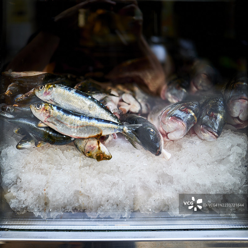 里斯本，葡萄牙市场上冰上展示的新鲜鱼类图片素材