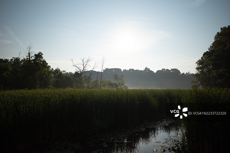宁静湖泊上的雾霭清晨，加拿大伯灵顿图片素材