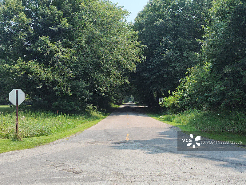 穿过郁郁葱葱树木的空旷道路，伊顿拉普ids，美国图片素材