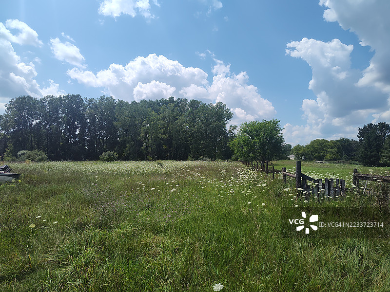 宁静的草地在明亮的蓝天下，伊顿拉皮兹，美国图片素材