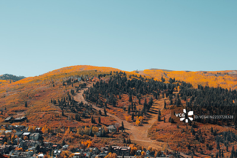秋季风景，色彩斑斓的树叶和晴朗的天空，公园城市，美国图片素材