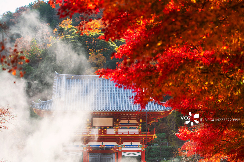 日本充满活力的秋叶中环绕的传统日式寺庙，日本图片素材