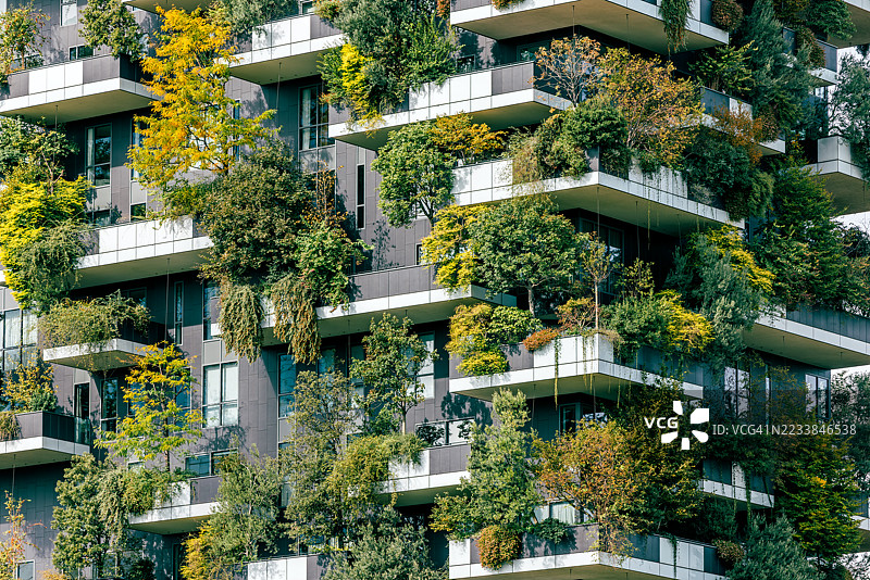 可持续性和环境保护概念 - 绿色植物和树木在米兰意大利的博斯科·维尔塔莱住宅公寓阳台上生长，特写视图图片素材