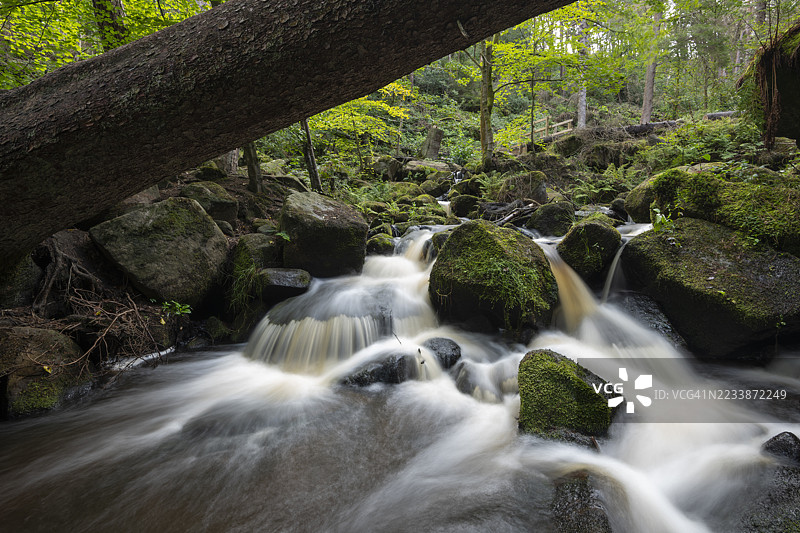 位于南约克郡谢菲尔德附近的威明布鲁克自然保护区图片素材