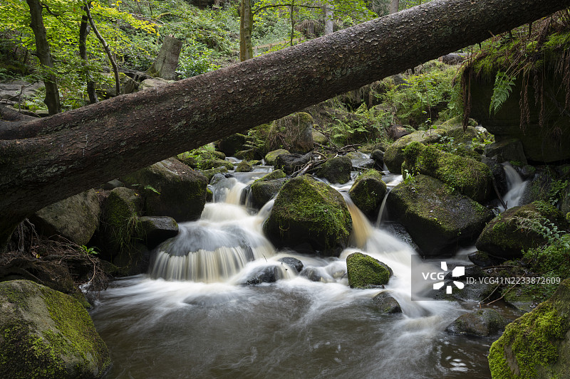 位于南约克郡谢菲尔德附近的怀明布鲁克自然保护区图片素材