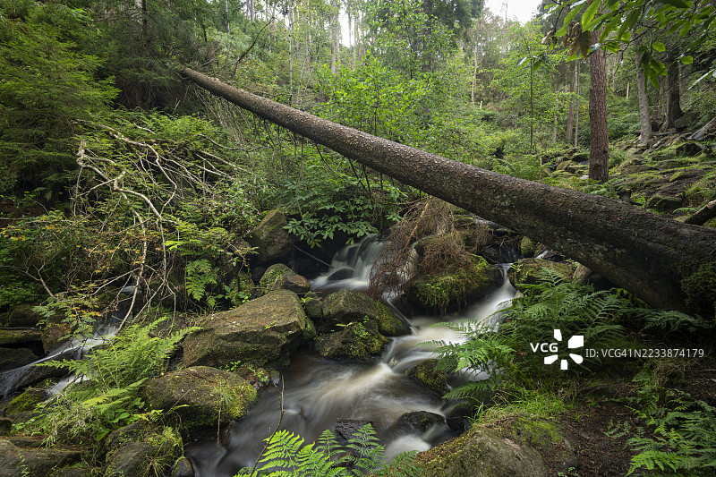 位于南约克郡谢菲尔德附近的威明布鲁克自然保护区图片素材
