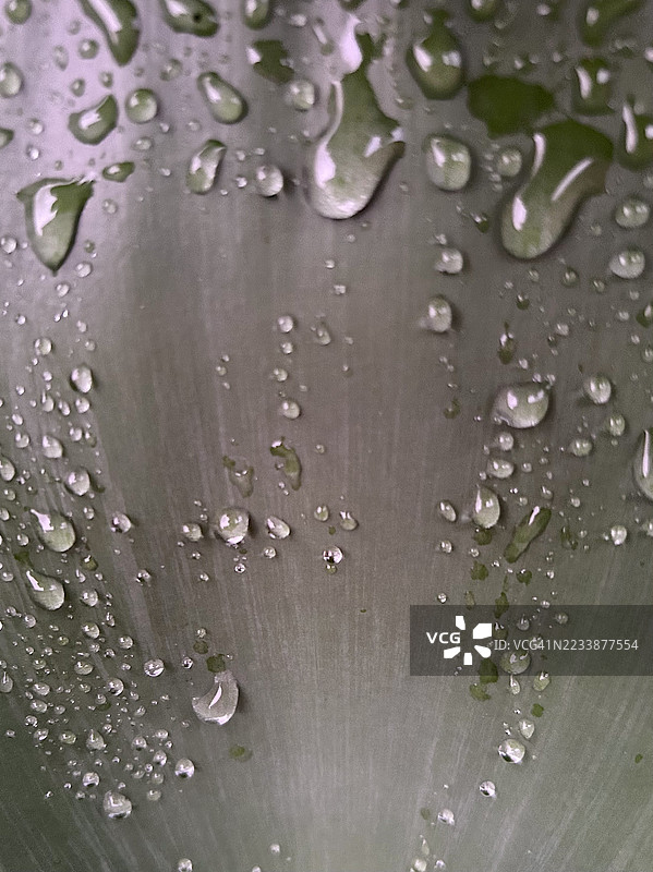 叶子上的水滴特写图片素材