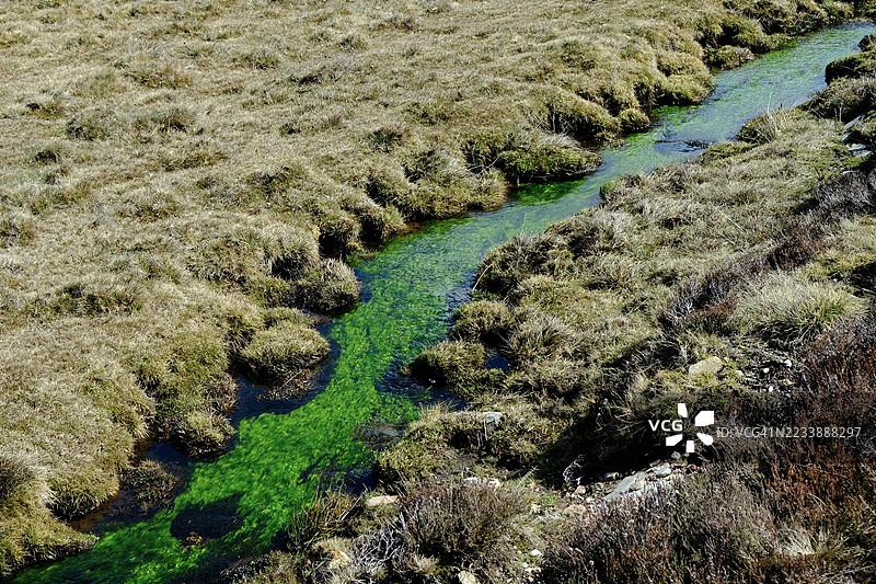 干草原上蜿蜒流淌的生机勃勃的绿色溪流的鸟瞰图图片素材