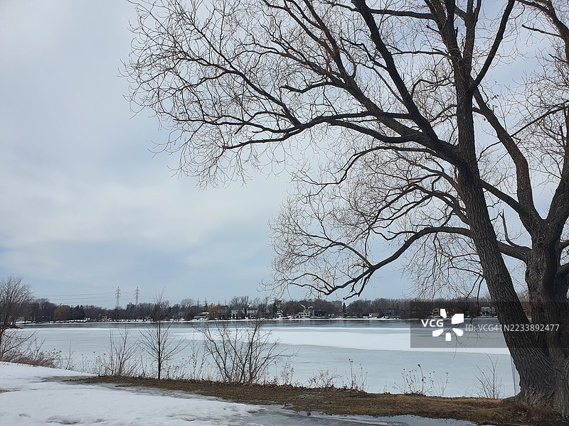 冬季光秃树木的冰冻湖泊图片素材