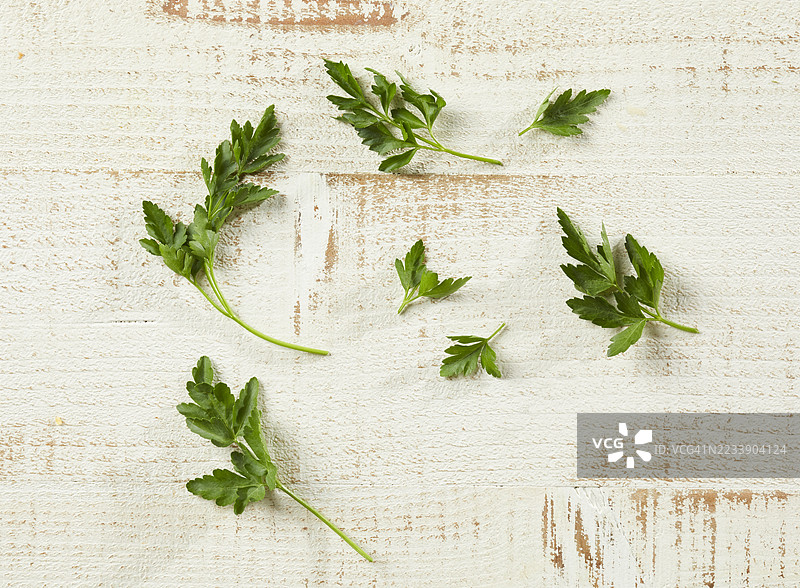 意大利香菜的枝叶放在质朴的白色木质表面上图片素材