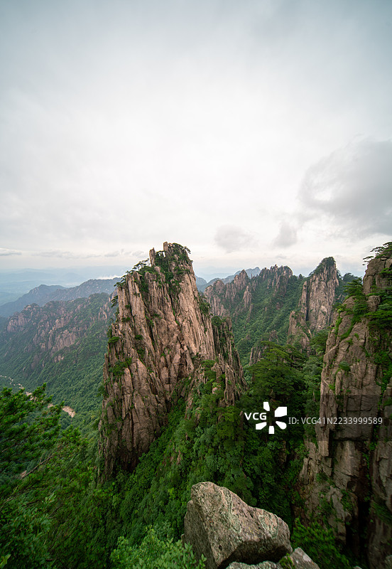 中国黄山：壮丽的山峰在郁郁葱葱的绿意中巍然屹立。图片素材