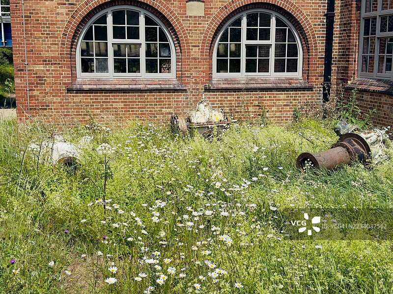 维多利亚风格的机房与野花，沃尔瑟姆斯托湿地图片素材