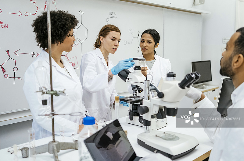 多位女性科学家在明亮的实验室中检查显微镜样本图片素材