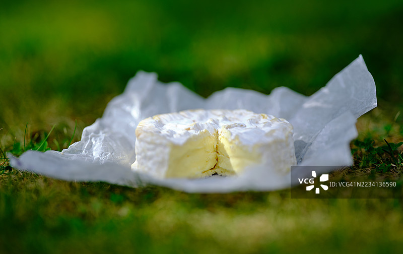 法国卡门贝尔奶酪/切片奶酪图片素材