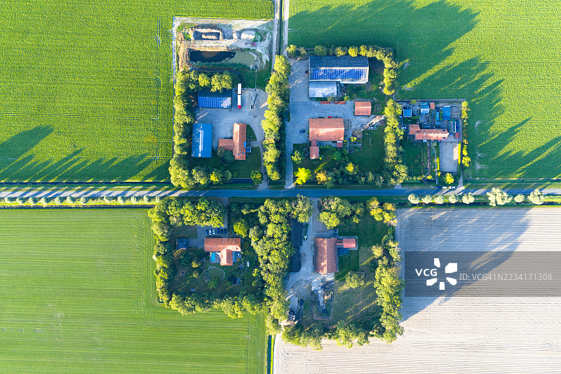 人造荷兰围垦景观中的农场群图片素材