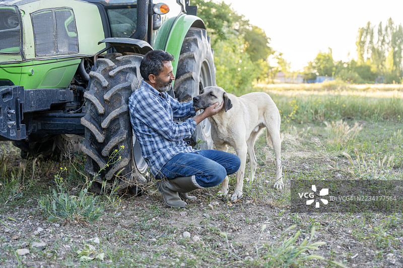 快乐的农民蹲在拖拉机旁边，身边有他的狗图片素材