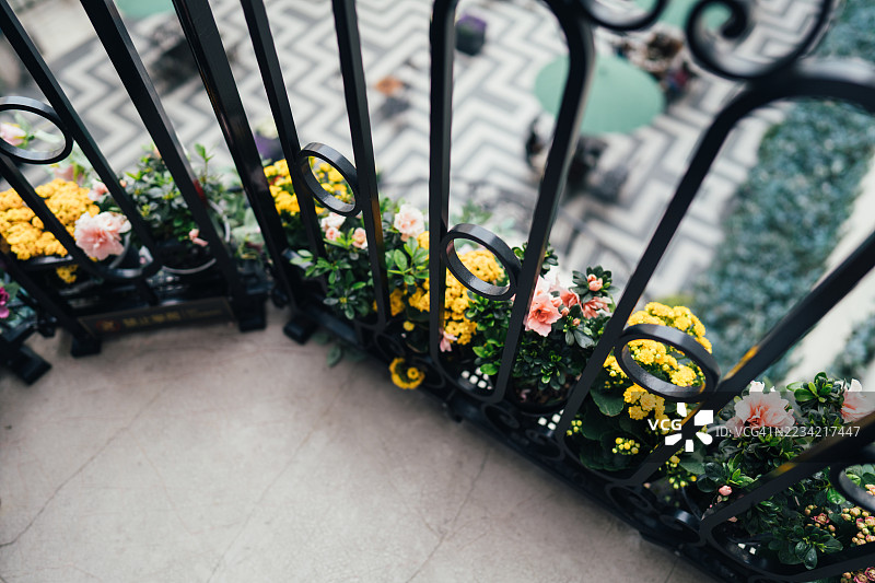成都，四川，中国华丽铁阳台上的生机勃勃的花卉展示图片素材
