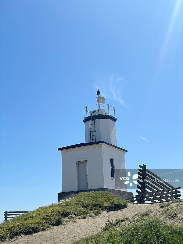 华盛顿州圣胡安岛的牛头角灯塔上的秃头鹰图片素材