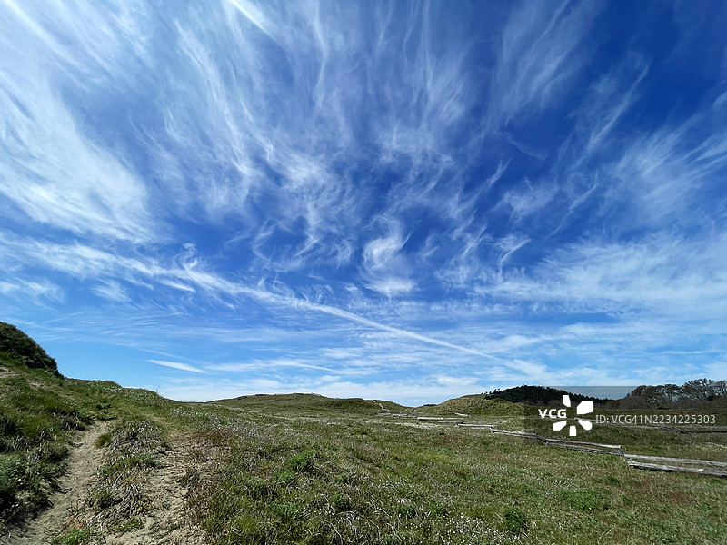 美国营草原的牛头灯塔，圣胡安岛，华盛顿州图片素材