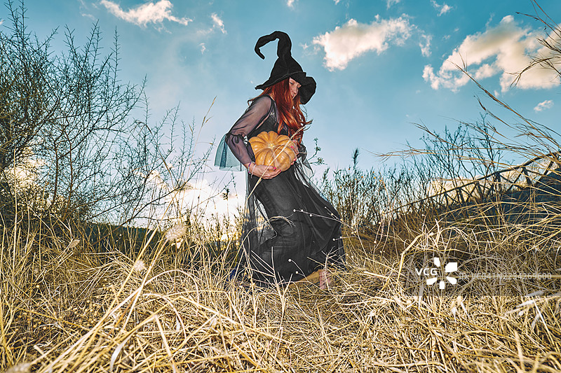红发女性穿着万圣节女巫服装，手中抱着南瓜，站在秋季干草的田野中，夕阳下的景象。图片素材