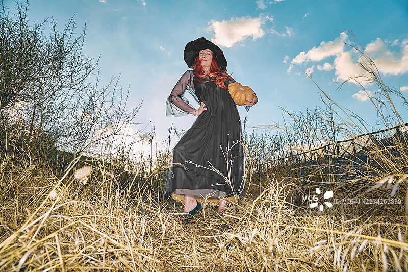 红发女性穿着万圣节女巫服装，手中抱着南瓜，站在秋季干草的田野中，夕阳下的景象。图片素材