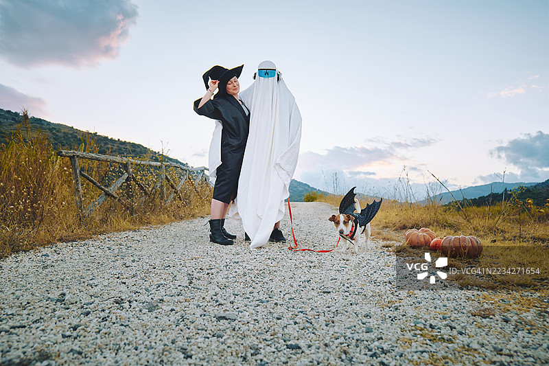 红发女性穿着万圣节女巫服装，和一个穿着鬼魂服装的人在秋天的田野小路上走，夕阳下有一只穿着蝙蝠翅膀的搞笑杰克拉塞尔犬。图片素材