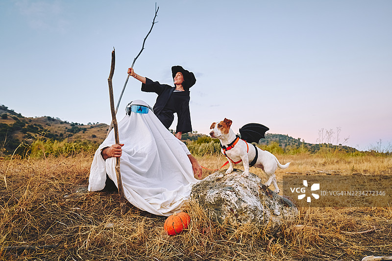 穿着万圣节女巫服装的红发女性和穿着鬼魂服装的人在秋季田野小路上，夕阳下有一只穿着蝙蝠翅膀万圣节服装的搞笑杰克拉塞尔犬。图片素材