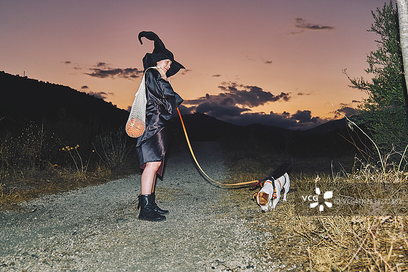 红发女子穿着女巫服装，带着她的杰克拉塞尔梗狗在乡村夜晚散步，狗狗穿着蝙蝠翅膀的万圣节服装。图片素材