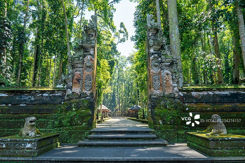 桑戈赫猴子森林的入口图片素材
