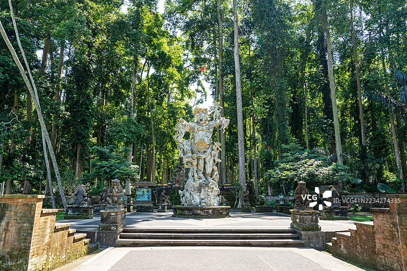 桑戈赫猴子森林的入口图片素材