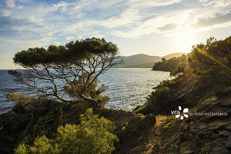 风景如画的海岸徒步小径,日落,拉克鲁瓦-瓦尔梅,圣特罗佩,瓦尔省,法国里维埃拉,普罗旺斯-阿尔卑斯-蓝色海岸,法国图片素材