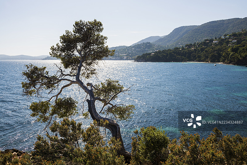 海岸徒步小径，勒拉万杜，瓦尔，法国里维埃拉，普罗旺斯-阿尔卑斯-蓝色海岸，法国图片素材