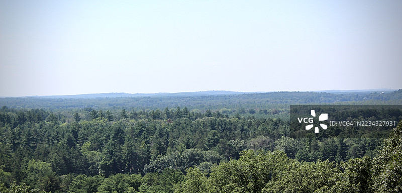 广阔的郁郁葱葱的森林在晴朗的蓝天下，莫里斯山，美国图片素材
