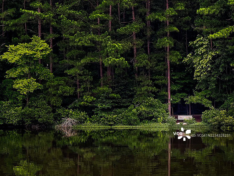 宁静的森林湖泊与倒影图片素材