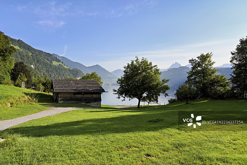 瑞士乌里州鲁特利的鲁特利草地，卢塞恩湖图片素材