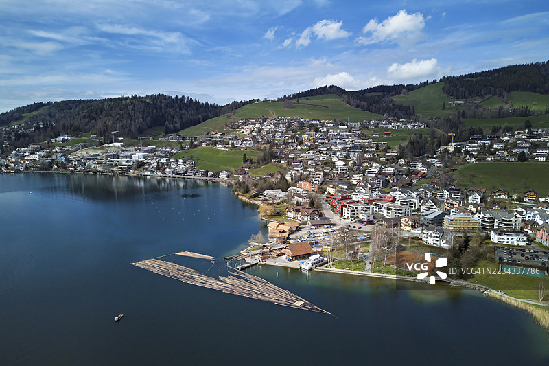 在登岸码头上，一筏被砍伐的树干被拉上岸并切割成适合装载到卡车上的尺寸，2025年，瑞士楚格州安特拉根。图片素材