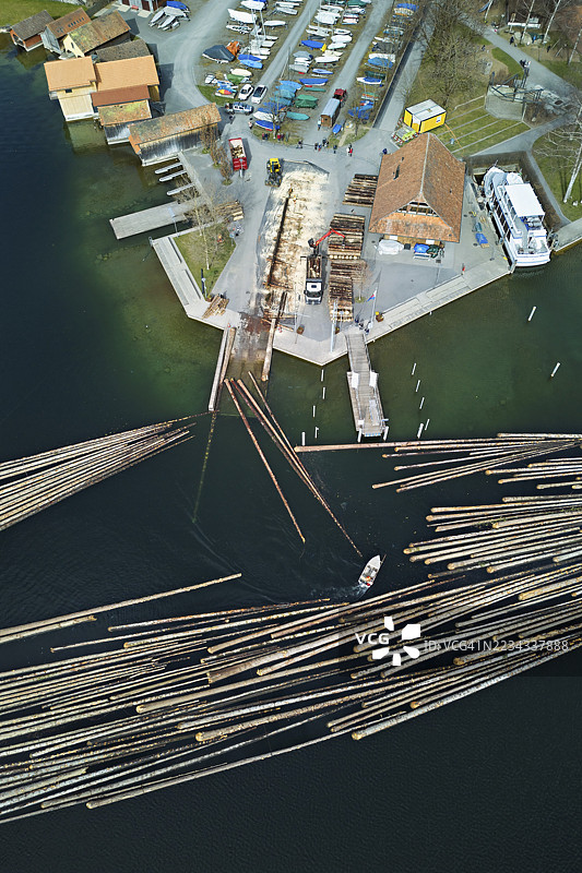 在登岸处的倒下树干筏，树干被拉上岸并切割成适合装载到卡车上的尺寸，筏运2025，乌特拉根，楚格州，瑞士图片素材