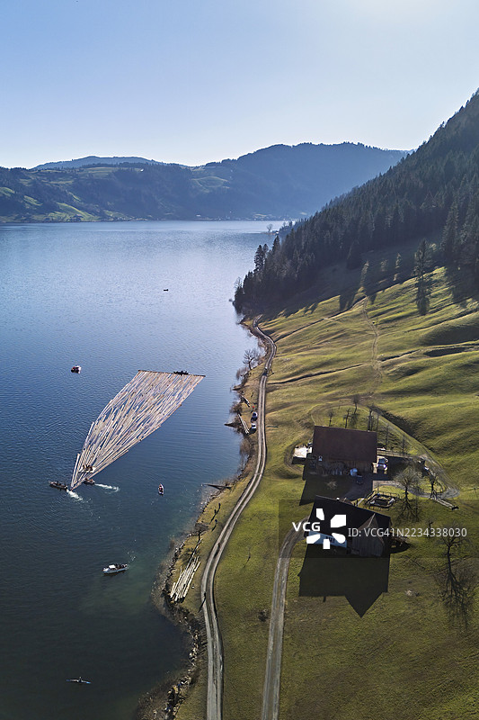 林业工人将砍伐的树干筏漂浮从贝尔格马特穿越艾格湖到港口，筏运2025，乌特拉根，楚格州，瑞士图片素材