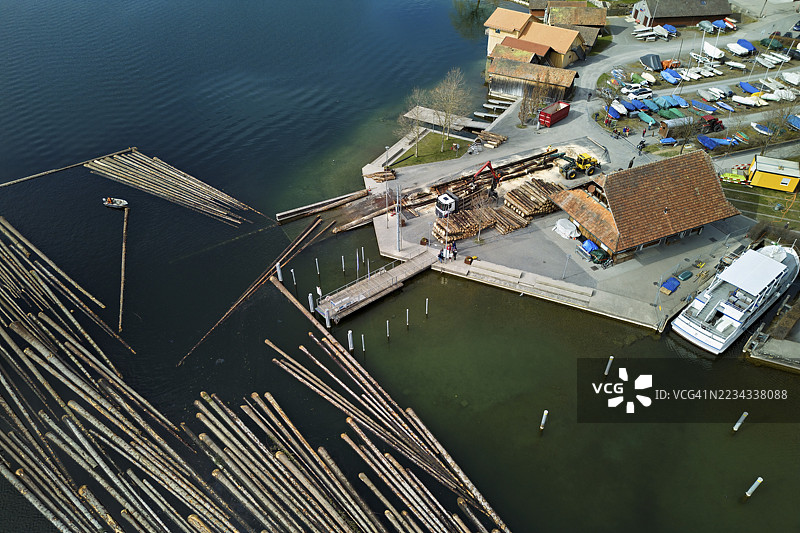 在登岸码头上，一筏被砍伐的树干被拉上岸并切割成适合装载到卡车上的尺寸，2025年，瑞士楚格州安特拉根。图片素材