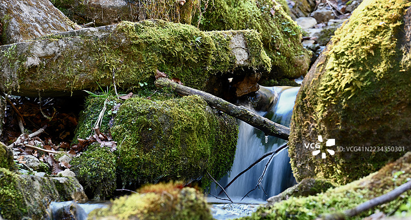 德国巴德拜尔索伊恩的森林中，覆盖苔藓的岩石与流动的小溪图片素材