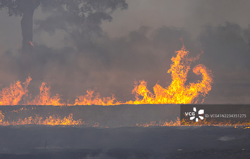 全球变暖，气候危机导致“全球沸腾”，以及灾难性的热浪、气候变化、太阳和燃烧的热浪炙热的太阳，极端天气和全球沸腾图片素材