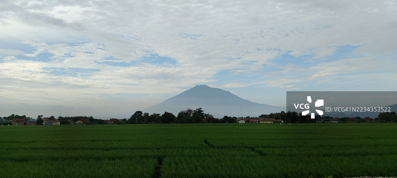 郁郁葱葱的稻田与山景在多云的天空下图片素材