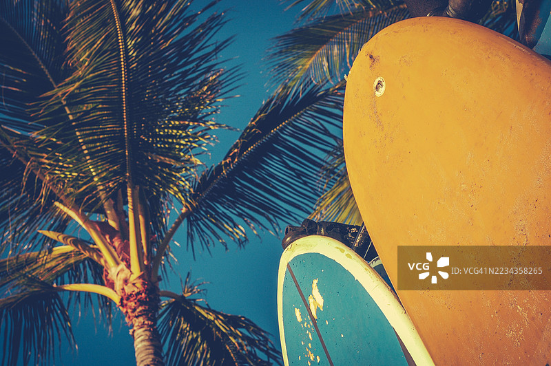 冲浪板靠在棕榈树旁，蓝天晴朗图片素材