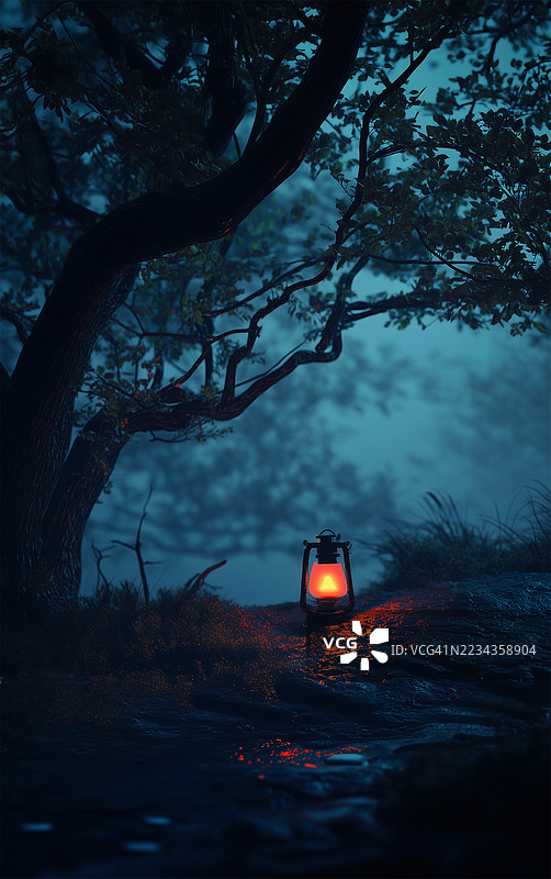 夜晚尼日利亚森林小径上的灯笼照明图片素材