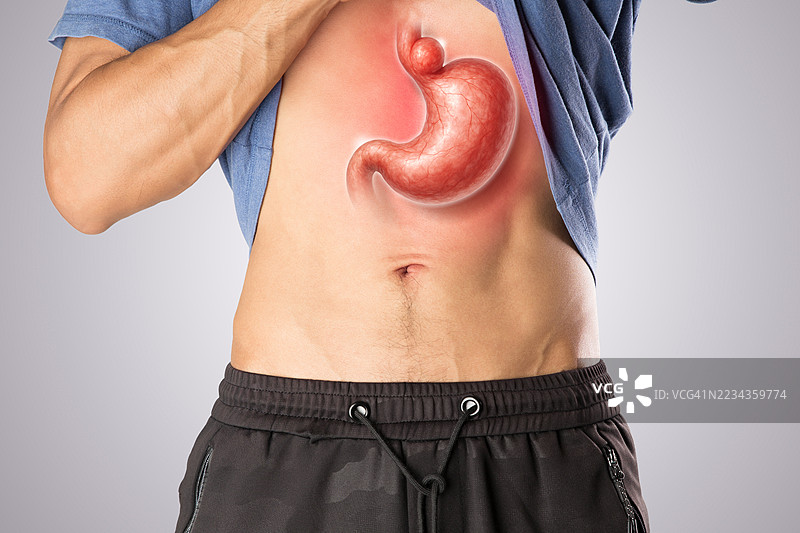 灰色背景下展示腹部解剖结构的男性图片素材