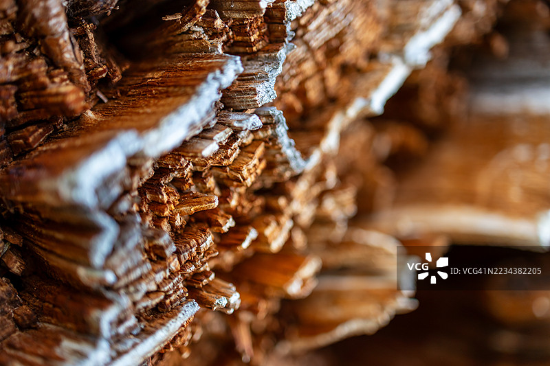 宏观木材纹理图片素材