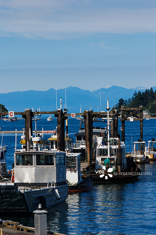 纳奈莫港口的渔船和码头，背景是山脉。图片素材