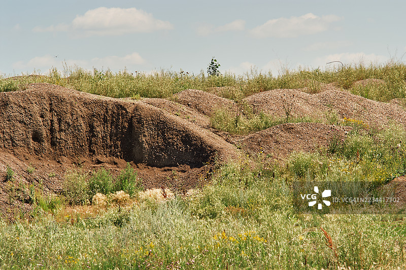 草原景观中的露出土堆与野生草丛图片素材